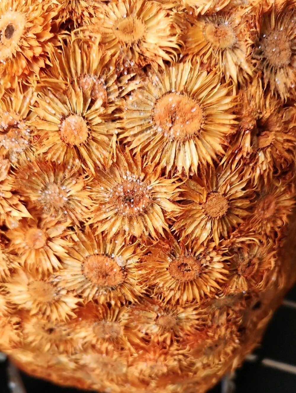 Orange Dried Flower Pumpkin Accent by